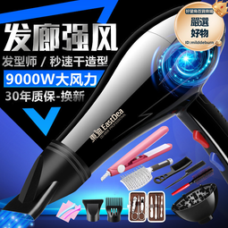 吹風機大功率5000家用理髮店大風8000髮廊專用吹頭髮速乾電吹風w 歷史價格詳細信息