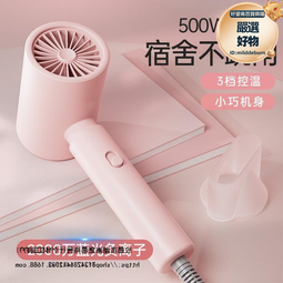 電吹風機家用宿舍用學生靜音護髮負離子男女士專用大風力風筒速冉 歷史價格詳細信息