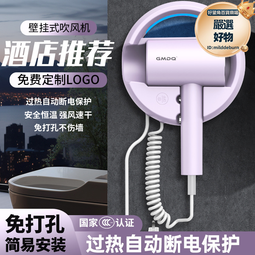 酒店吹風機壁掛式吹風筒賓館家用浴室衛生間專用掛牆式電吹風 歷史價格詳細信息