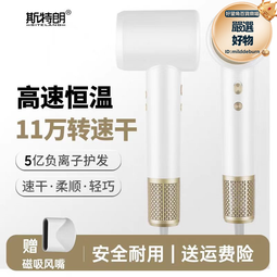 高速無刷電吹風機家用大功率大風力負離子護髮髮廊造型吹風筒 歷史價格詳細信息
