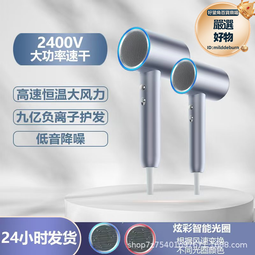 高速電吹風機家用髮廊大功率吹風機藍光負離子護髮電吹風 歷史價格詳細信息