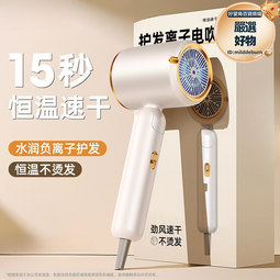 離子護髮吹風機 疊電吹風機 110V220伏雙電壓旅行電吹風機 可疊美國日本風筒hair dryer 歷史價格詳細信息