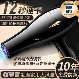 大風力電吹風機髮廊大功率藍光護髮負離子家用速幹理髮店專用高速 歷史價格詳細信息
