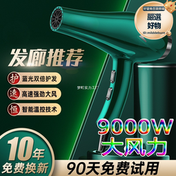 吹風機大功率5000家用理髮店大風8000髮廊專用吹頭髮速乾電吹風w 歷史價格詳細信息