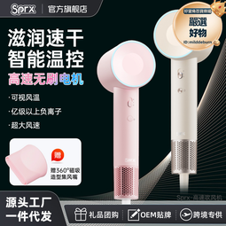 家用負離子吹風機大吹力高速髮廊電吹風宿舍便攜吹風筒 歷史價格詳細信息