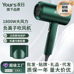 永日高速吹風機家用負離子11萬轉速乾電吹風髮廊無刷吹風筒 歷史價格詳細信息