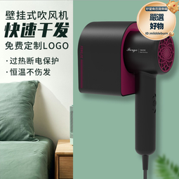 壁掛式吹風機酒店賓館家用浴室掛壁式幹發器化妝室負離子吹風機 歷史價格詳細信息