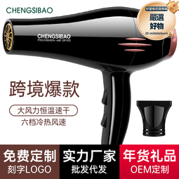 電吹風機大功率吹風機髮廊歐規負離子吹風機家用百貨 歷史價格詳細信息