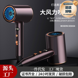 高速錘子吹風機家用髮廊大風力冷熱電吹風藍光恆溫宿舍吹風筒禮品 歷史價格詳細信息