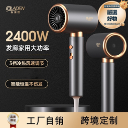 電吹風機家用大功率髮廊酒店大風力藍光護髮冷熱風吹風筒 歷史價格詳細信息
