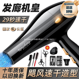 家用吹風機藍光護髮髮廊酒店電吹風hair dryer吹風筒 歷史價格詳細信息
