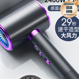 理髮店專用吹風機家用負離子護髮宿舍學生電吹風速幹風筒靜音高速 歷史價格詳細信息