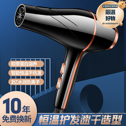 德國髮廊吹風機家用大功率電吹風理髮店專用負離子護髮冷熱風吹筒 歷史價格詳細信息