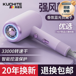 家用髮廊大功率速幹護髮吹風機負離子電吹風直發 歷史價格詳細信息