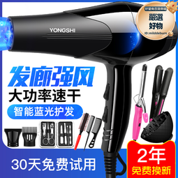 吹頭髮電吹風機家用風筒大功率負離子冷熱理髮店速幹髮廊 歷史價格詳細信息
