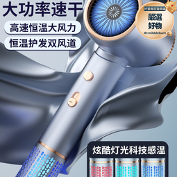 高速吹風機家用大功率髮廊藍光護髮電吹風冷熱風吹風筒 歷史價格詳細信息