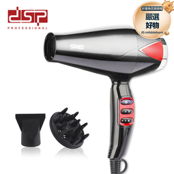DSP/丹松 電吹風機家用髮廊理髮店專用大功率速幹護髮風筒靜音 歷史價格詳細信息