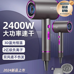 吹風機家用負離子護髮大風力理髲店專用小靜音速乾米高速吹風機 歷史價格詳細信息