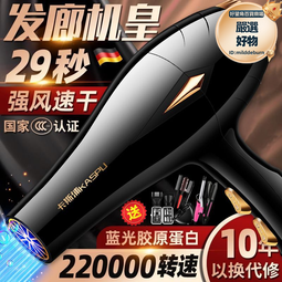 電吹風機家用大風力髮廊大功率男士專用理髮店負離子靜速幹護髮 歷史價格詳細信息
