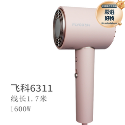 飛科吹風機家用恆溫護髮冷熱風大功率學生宿舍用大風力吹風機筒 歷史價格詳細信息