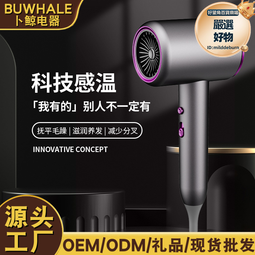電吹風家用大功率速幹吹風筒髮廊藍光負離子大風力學生宿舍 歷史價格詳細信息
