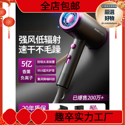 吹風機家用負離子護髮大風力理髲店專用小靜音速乾米高速吹風機 歷史價格詳細信息