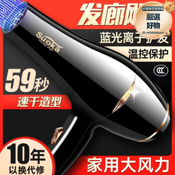 髮廊大風吹風機家用大功率理髮店負離子電吹風筒恆溫冷熱風不傷發 歷史價格詳細信息