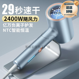德國電吹風機摺疊家用髮廊理髮店大功率速幹負離子護髮靜音可 歷史價格詳細信息
