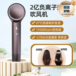 電吹風高速負離子吹風機H501家用護發電吹風筒大功率風力速干小颶風 歷史價格詳細信息