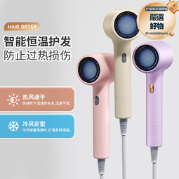 吹風機髮廊大功率冷熱風負離子護髮家用新款電吹風筒靜音 歷史價格詳細信息