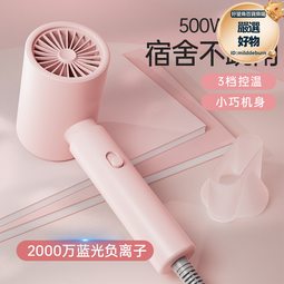 校果電吹風機家用負離子護髮小功率宿舍用學生靜音其他見描述無 歷史價格詳細信息