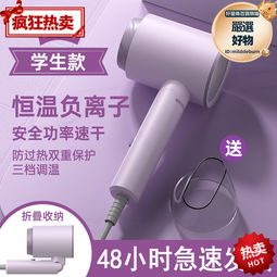 家用電吹風超靜音負離子吹風機大功率白色電吹風禮品 歷史價格詳細信息