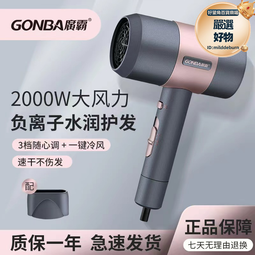 吹風機家用酒店電吹風筒大功率髮廊電吹風機大風力護髮 歷史價格詳細信息