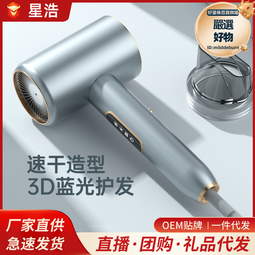 髮廊吹風機大功率電吹風藍光負離子護髮吹風筒 歷史價格詳細信息