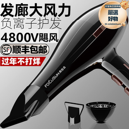 大風力電吹風機髮廊大功率藍光護髮負離子家用速幹理髮店專用高速 歷史價格詳細信息