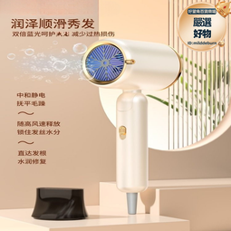 離子護髮吹風機 疊電吹風機 110V220伏雙電壓旅行電吹風機 可疊美國日本風筒hair dryer 歷史價格詳細信息