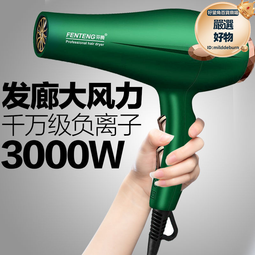 理髮店專用吹風機大功率髮廊強大風交流電機家用女仕電風吹負離子 歷史價格詳細信息