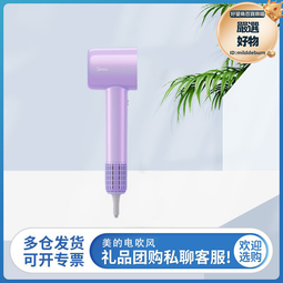 fg208高速吹風機等離子速乾電吹風家用宿舍大風力風筒 歷史價格詳細信息