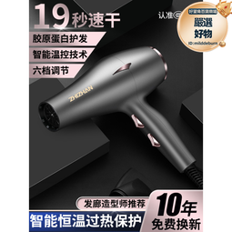 髮廊3000大功率吹風機家用宿舍護髮吹風機理髲店專用速乾吹風機冷 歷史價格詳細信息