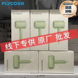 電吹風飛科電吹風機家用負離子大風力恒溫護發宿舍學生用吹風筒FH6295 歷史價格詳細信息