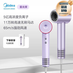 等離子高速吹風機家用智能數顯吹風筒速乾電吹風護髮冷熱恆溫私模 歷史價格詳細信息