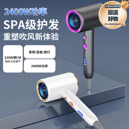 高速吹風機家用大功率藍光護髮大風力冷熱風吹風機大風速力電吹風 歷史價格詳細信息