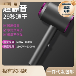 大學宿舍小功率吹風機實用電吹風機低多我要買家用髮廊款 歷史價格詳細信息
