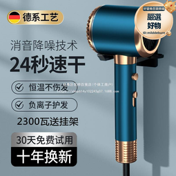 德國髮廊家用電吹風負離子吹風筒藍光吹風機吹頭髮大功率靜音速幹 歷史價格詳細信息