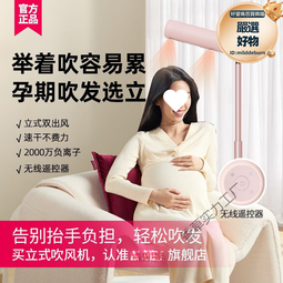 家用立式吹風機懶人自動吹頭髮機落地免手拿風筒速乾電吹風 歷史價格詳細信息