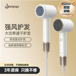 吹風機家用負離子護髮大功率速幹不傷發理髲店髮廊大風力吹風機筒 歷史價格詳細信息