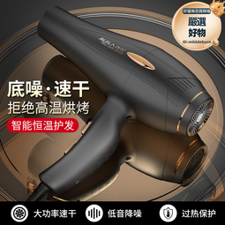 吹風機交流大功率髮廊藍光不傷發高速電吹機吹風筒速乾電吹風 歷史價格詳細信息