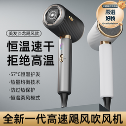 高速大功率吹風機新款電吹風家用酒店髮廊恆溫點吹風筒 歷史價格詳細信息