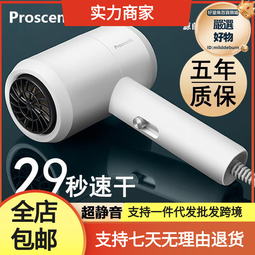 電吹風機家用大功率專用髮廊負離子速幹護髮靜音無聲捲髮吹風筒 歷史價格詳細信息