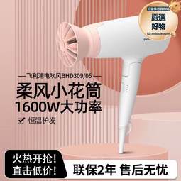 電吹風機 家用吹風機 恆溫吹風機 負離子吹風機 便攜吹風筒 小巧吹風機 智能吹風機 過熱保護吹風機 110V吹風機 歷史價格詳細信息